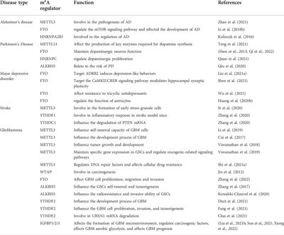 The role and regulatory mechanism of m6A methylation in the nervous system